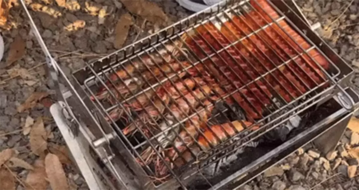 Le barbecue rotatif et pliable déclenche la mode du camping coréen